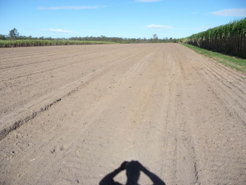 Greens & Jacksons Road, South Isis, Childers QLD 4660