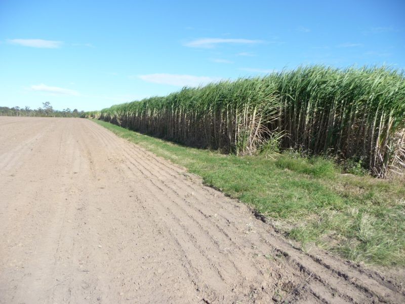 Greens & Jacksons Road, South Isis, Childers QLD 4660