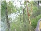 1422 BUXTON ROAD, Buxton QLD 4660