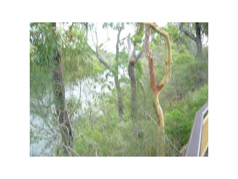 1422 BUXTON ROAD, Buxton QLD 4660