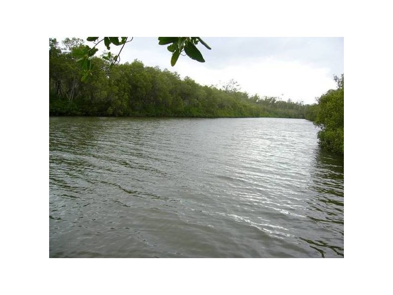 1422 BUXTON ROAD, Buxton QLD 4660