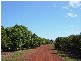 Childers QLD 4660