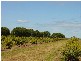 Childers QLD 4660
