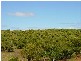 Childers QLD 4660