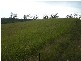 Railway Road, Booyal QLD 4671