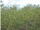Railway Road, Booyal QLD 4671