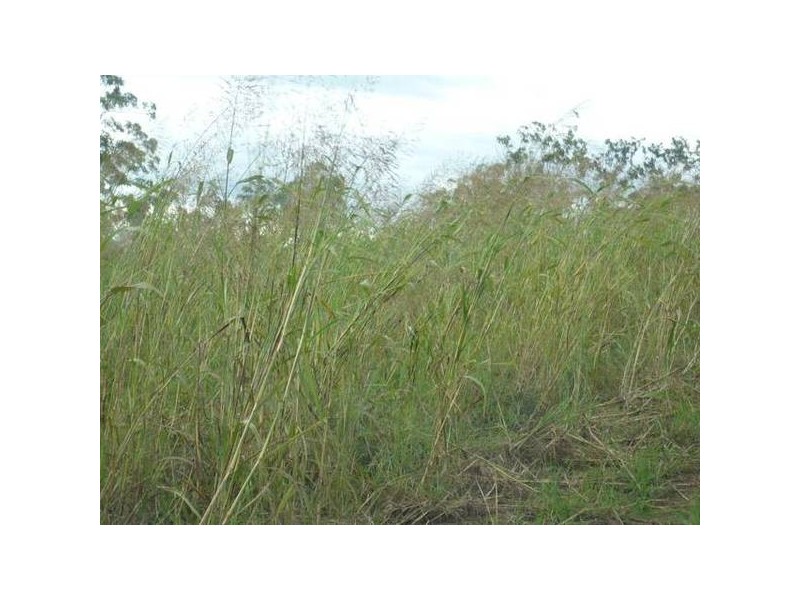 Railway Road, Booyal QLD 4671