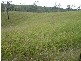 Railway Road, Booyal QLD 4671