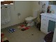 Buxton QLD 4660