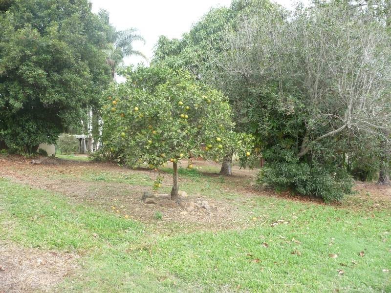 20 Mill Road, Cordalba QLD 4660