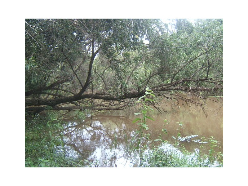 Lot 1,  Longatong Road, Coringa QLD 4621