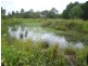Apple Tree Creek QLD 4660