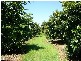 Childers QLD 4660