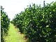 Childers QLD 4660