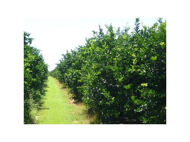 Childers QLD 4660