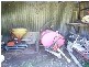 Childers QLD 4660