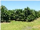 Childers QLD 4660