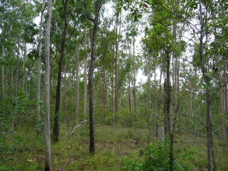 Booyal QLD 4671