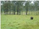 Apple Tree Creek QLD 4660