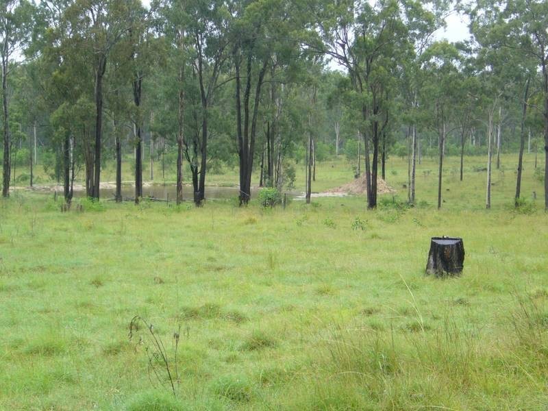 Apple Tree Creek QLD 4660