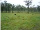 Apple Tree Creek QLD 4660