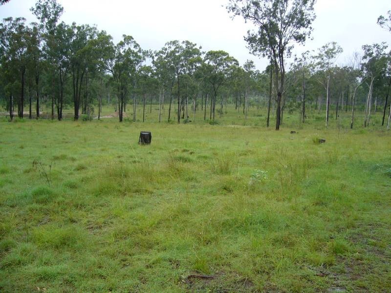 Apple Tree Creek QLD 4660