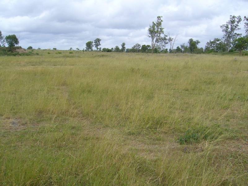 Wallaville QLD 4671