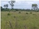 Wallaville QLD 4671