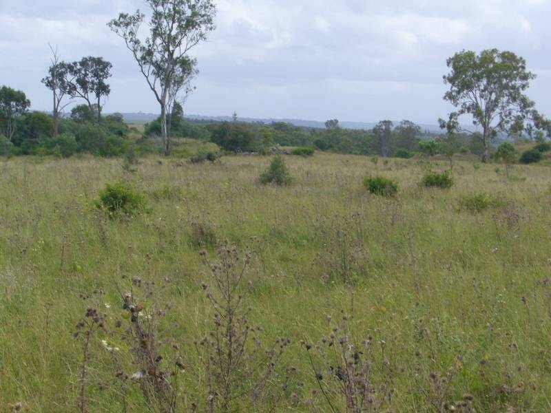 Wallaville QLD 4671