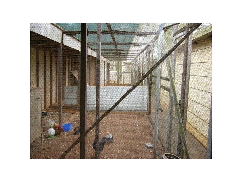 Apple Tree Creek QLD 4660