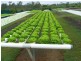 Abington QLD 4660