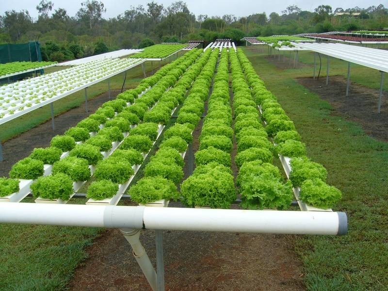 Abington QLD 4660