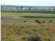 Abington QLD 4660