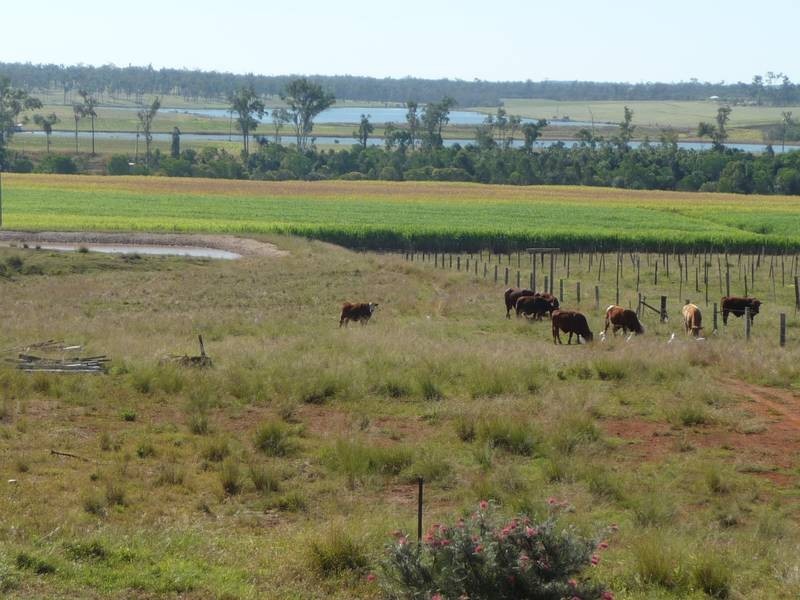 Abington QLD 4660