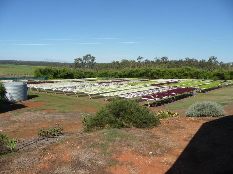 Abington QLD 4660