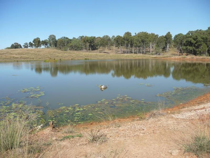Abington QLD 4660