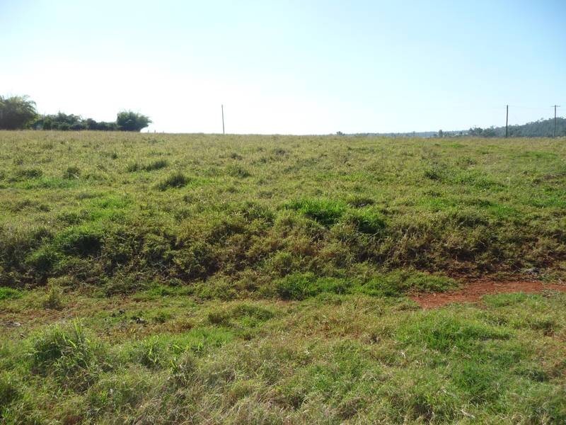 Abington QLD 4660