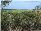 Childers QLD 4660