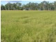 Wallaville QLD 4671