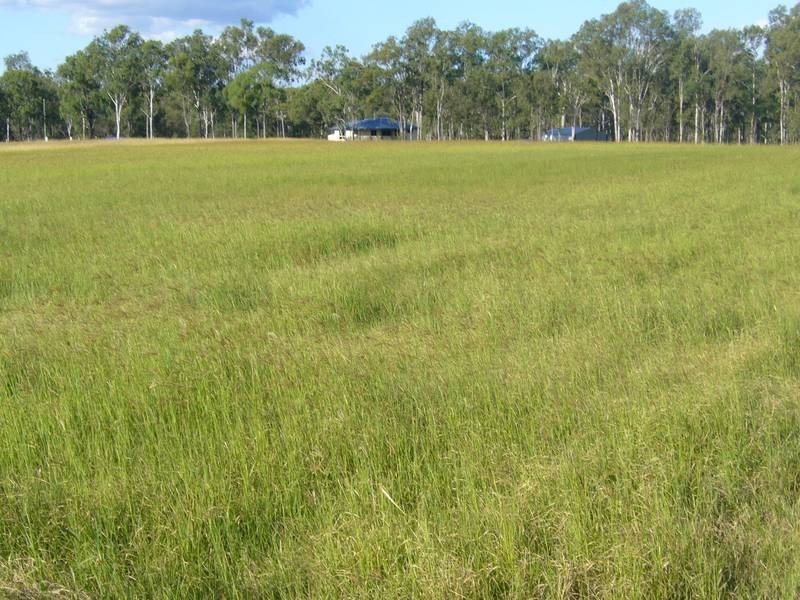 Wallaville QLD 4671