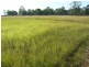 Wallaville QLD 4671