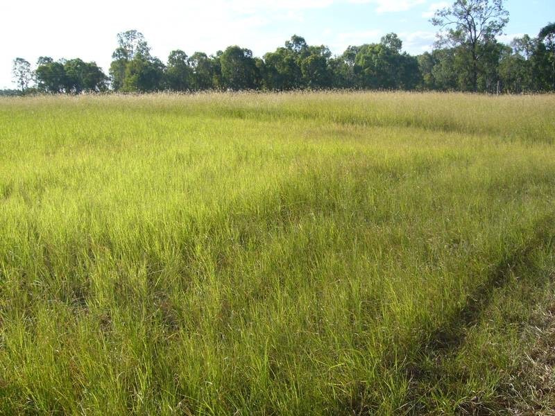 Wallaville QLD 4671