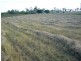 Wallaville QLD 4671