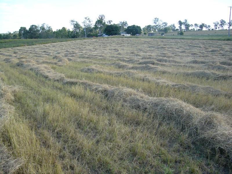 Wallaville QLD 4671
