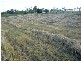 Wallaville QLD 4671
