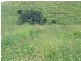 Coalstoun Lakes QLD 4621