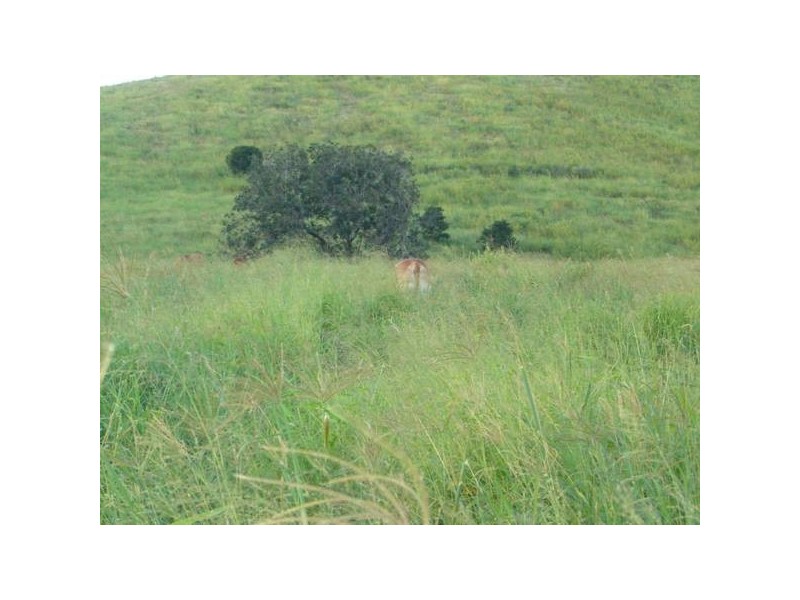 Coalstoun Lakes QLD 4621