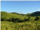 Coalstoun Lakes QLD 4621