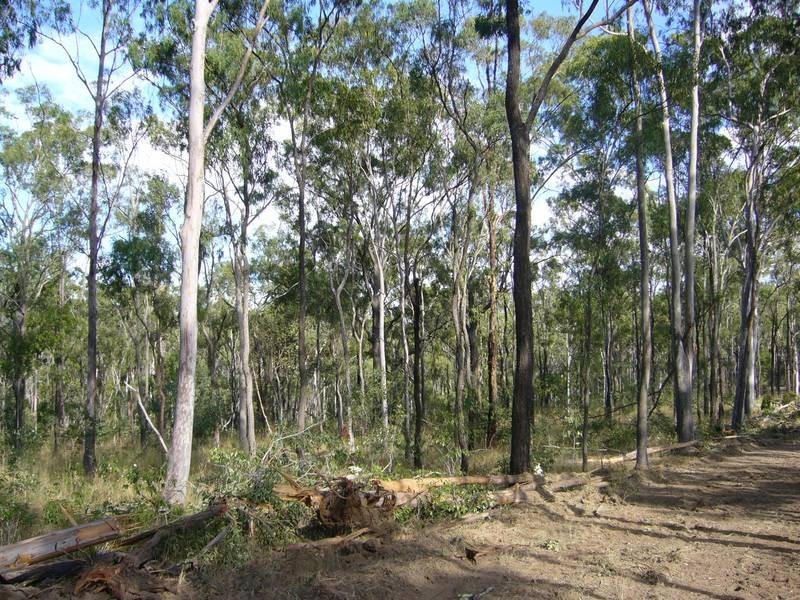 Dallarnil QLD 4621