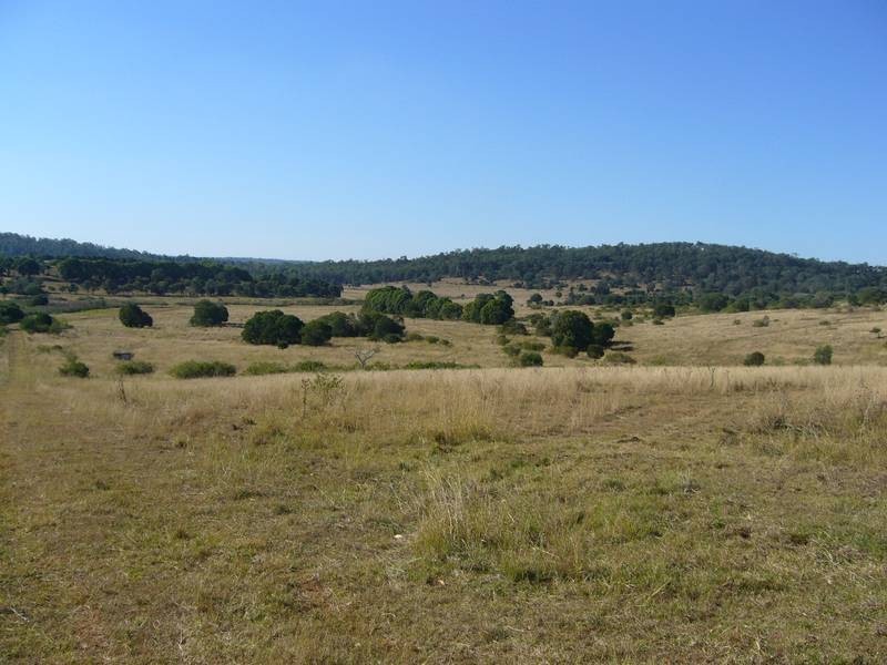 HARNEY STREET, Childers QLD 4660